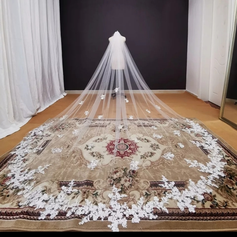 Brand New Cathedral Wedding Veil ✨👰‍♀️